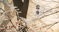 【二十四節氣灸】霜降節氣：艾灸四穴，護您冬天安然無恙！