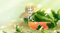 【艾灸三伏天】出伏后記得堅持艾灸，伏后固本，做好至關重要的最后一步！